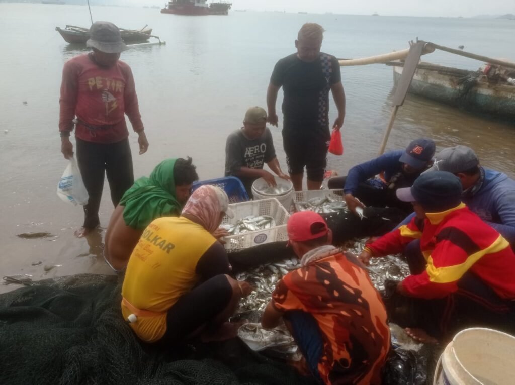 Nelayan Payang Sedang Memilah dan Memilih Ikan Hasil Tangkapan Antar Ikan Atau Sampah (Ahmad Amri)